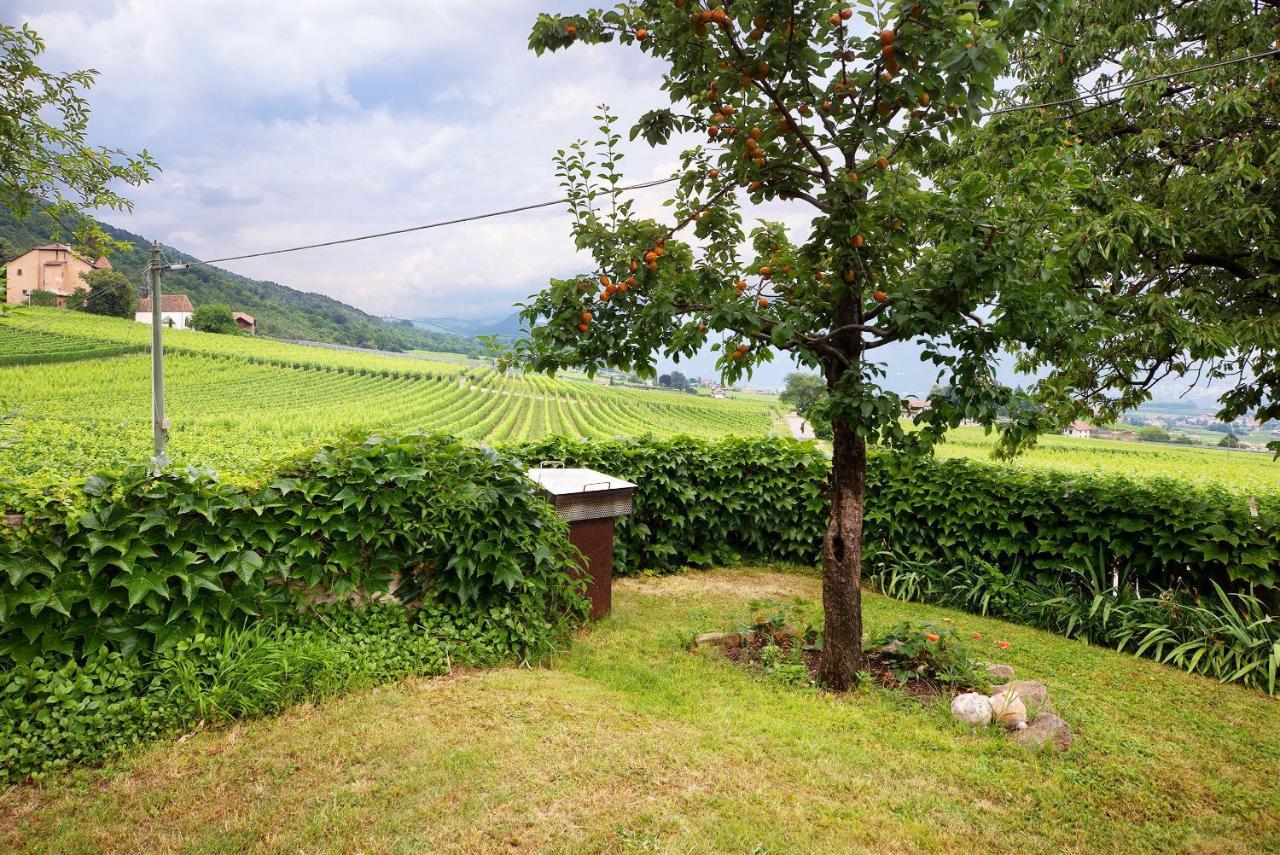 Harmony Apt 2 Appiano Sulla Strada Del Vino Exterior photo